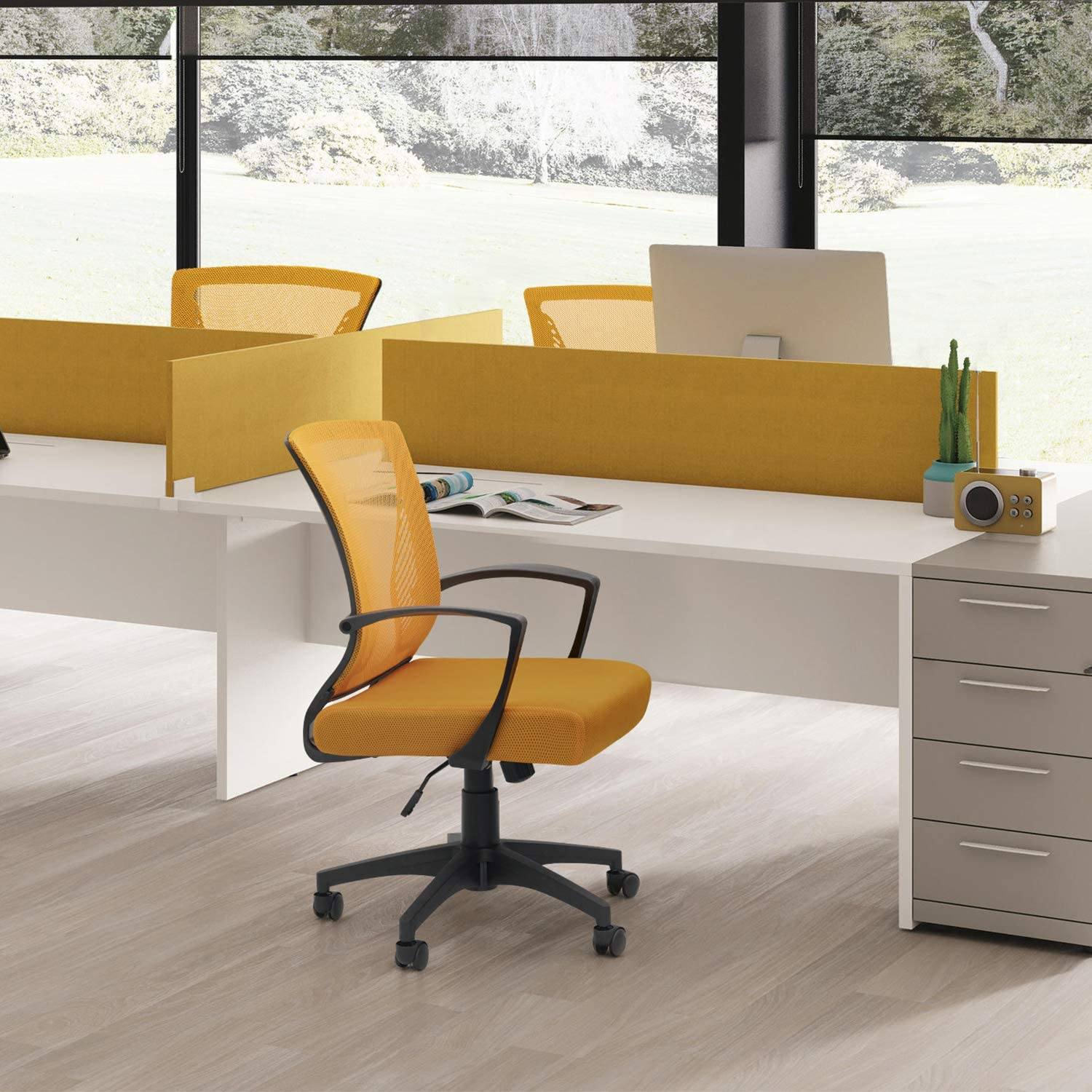 Homall Office Chair Mid Back Swivel Lumbar Support Desk Chair, Computer Ergonomic Mesh Chair with Armrest