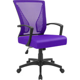 Homall Office Chair Mid Back Swivel Lumbar Support Desk Chair, Computer Ergonomic Mesh Chair with Armrest
