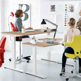 Homall Electric Height Adjustable Standing Desk Home Office Workstation, 55 Inches