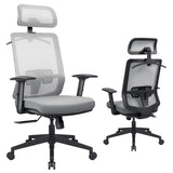 Homall Ergonomic Office Chair High Back Chair with Adjustable Headrest Lumbar Support and Armrests Mesh Computer Chair with Clothes Hanger
