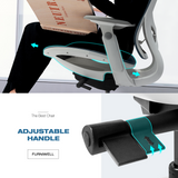 Furniwell Ergonomic Office Chair Blue