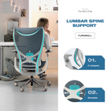 Furniwell Ergonomic Office Chair Blue