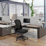 Homall Office Desk Chair Ergonomic Mesh Chair with Flip-up Arms and Adjustable Height