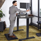 Homall Electric Standing Desk, Height Adjustable 43 Inches Office Desk