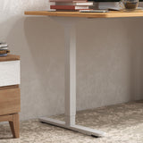 Homall 55 Inches Electric Standing Desk with Splice Board