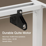 Homall Electric Height Adjustable Standing Desk, Large 55 inch Sit Stand up Desk, Home Office Computer Desk Memory Preset with T-Shaped Metal Bracket