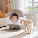 Homall Self-Cleaning Cat Litter Box with App Control and Safety Protection, WiFi, Automatic, and Waste Bags