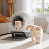 Homall Self-Cleaning Cat Litter Box with App Control and Safety Protection, WiFi, Automatic, and Waste Bags