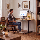 Homall Electric Height Adjustable Standing Desk Home Office Computer Desk Memory Preset with T-Shaped Metal Bracket
