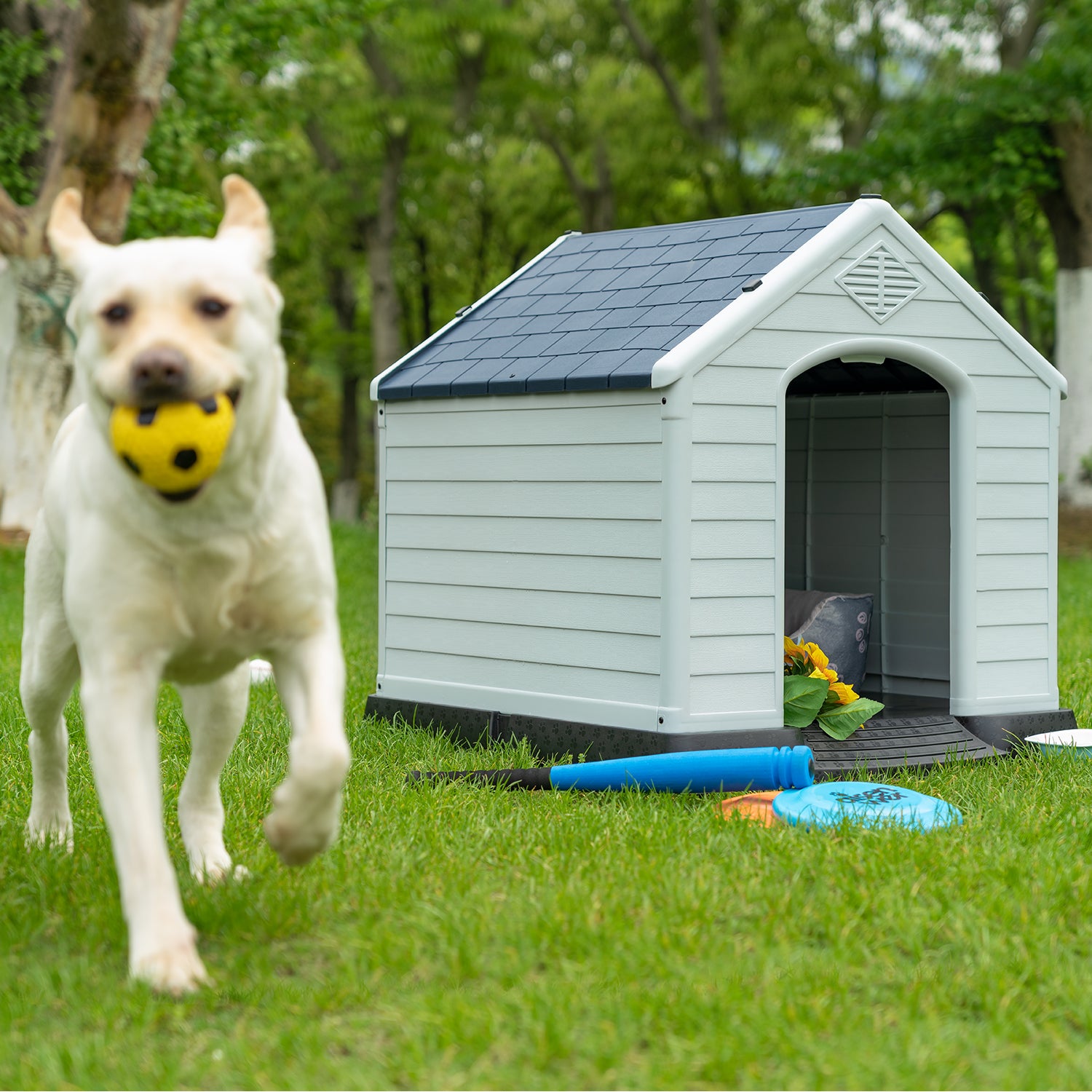 SEGAWE 32" Gray Plastic Dog House – Indoor/Outdoor, Weatherproof, With Removable Roof – For Medium Dogs