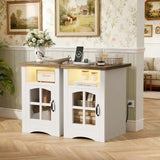 Homall Nightstand Set of 2 with Charging Station & Adjustable LED Lights, End Table Bedside Table with Glass Door & Open Shelf for Bedroom Living Room