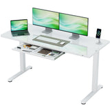 Homall 48" x 24" Wood Top Electric Standing Desk with Drawer, Height Adjustable Desk with Phone Stand & Charging Ports, Sit Stand up for Home Office,Beige