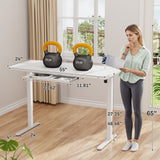 Homall 48" x 24" Wood Top Electric Standing Desk with Drawer, Height Adjustable Desk with Phone Stand & Charging Ports, Sit Stand up for Home Office,Beige
