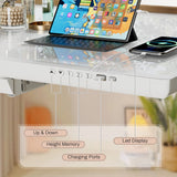 Homall 48" x 24" Wood Top Electric Standing Desk with Drawer, Height Adjustable Desk with Phone Stand & Charging Ports, Sit Stand up for Home Office,Beige