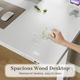 Homall 48" x 24" Wood Top Electric Standing Desk with Drawer, Height Adjustable Desk with Phone Stand & Charging Ports, Sit Stand up for Home Office,Beige