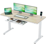 Homall 48" x 24" Wood Top Electric Standing Desk with Drawer, Height Adjustable Desk with Phone Stand & Charging Ports, Sit Stand up for Home Office,Beige