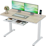 Homall 48" x 24" Wood Top Electric Standing Desk with Drawer, Height Adjustable Desk with Phone Stand & Charging Ports, Sit Stand up for Home Office,Beige
