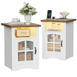 Homall Nightstand Set of 2 with Charging Station & Adjustable LED Lights, End Table Bedside Table with Glass Door & Open Shelf for Bedroom Living Room