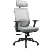 Homall High Back Mesh Office Chair Ergonomic Desk Chair with Headrest