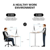 Homall Electric Height Adjustable Standing Desk with 55 inch Wooden Tabletop, Sit Stand Office Desk with Memory Preset Controller