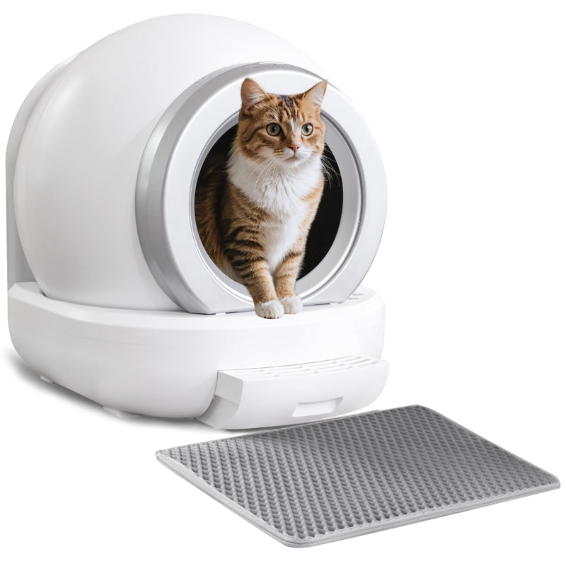 Cat litter automatic best sale