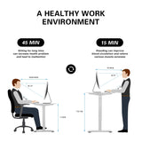 Homall Electric Height Adjustable Standing Desk with 55 inch Wooden Tabletop, Sit Stand Office Desk with Memory Preset Controller