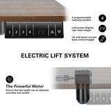 Homall Electric Height Adjustable Standing Desk with 55 inch Wooden Tabletop, Sit Stand Office Desk with Memory Preset Controller
