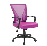 Homall Mid-Back Office Desk Chair Ergonomic Mesh Task Chair with Lumbar Support