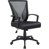 Homall Office Chair Mid Back Swivel Lumbar Support Desk Chair, Computer Ergonomic Mesh Chair with Armrest