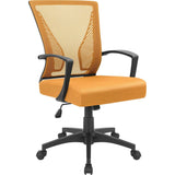 Homall Office Chair Mid Back Swivel Lumbar Support Desk Chair, Computer Ergonomic Mesh Chair with Armrest