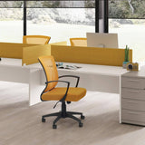 Homall Office Chair Mid Back Swivel Lumbar Support Desk Chair, Computer Ergonomic Mesh Chair with Armrest
