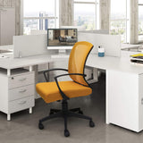 Homall Office Chair Mid Back Swivel Lumbar Support Desk Chair, Computer Ergonomic Mesh Chair with Armrest