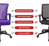 Homall Office Chair Mid Back Swivel Lumbar Support Desk Chair, Computer Ergonomic Mesh Chair with Armrest