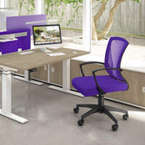 Homall Office Chair Mid Back Swivel Lumbar Support Desk Chair, Computer Ergonomic Mesh Chair with Armrest
