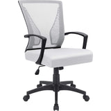 Homall Office Chair Mid Back Swivel Lumbar Support Desk Chair, Computer Ergonomic Mesh Chair with Armrest