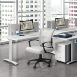 Homall Office Chair Mid Back Swivel Lumbar Support Desk Chair, Computer Ergonomic Mesh Chair with Armrest