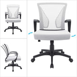 Homall Office Chair Mid Back Swivel Lumbar Support Desk Chair, Computer Ergonomic Mesh Chair with Armrest