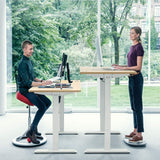 Homall Electric Height Adjustable Standing Desk Home Office Workstation, 55 Inches