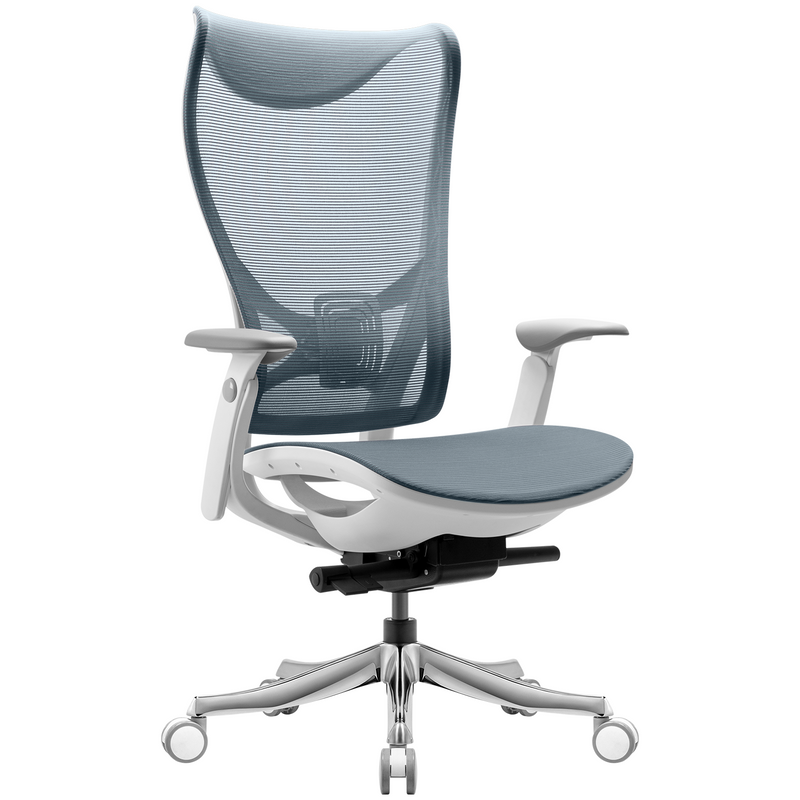 Furniwell Ergonomic Office Chair Blue