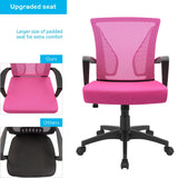 Homall Office Chair Mid Back Swivel Lumbar Support Desk Chair, Computer Ergonomic Mesh Chair with Armrest
