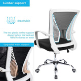 Homall Office Chair Mid Back Swivel Lumbar Support Desk Chair, Computer Ergonomic Mesh Chair with Armrest