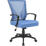 Homall Office Chair Mid Back Swivel Lumbar Support Desk Chair, Computer Ergonomic Mesh Chair with Armrest