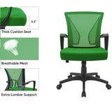 Homall Office Chair Mid Back Swivel Lumbar Support Desk Chair, Computer Ergonomic Mesh Chair with Armrest