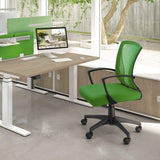 Homall Office Chair Mid Back Swivel Lumbar Support Desk Chair, Computer Ergonomic Mesh Chair with Armrest