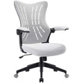 Homall Office Desk Chair with Flip Arms,Mid Back Mesh Computer Chair Swivel Task Chair with Ergonomic with Lumbar Support