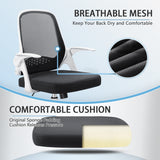 Homall Mesh Office Chair, Ergonomic Desk Chair with Lumbar Support and Flip-up Arms